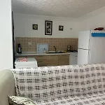 Dıdım Ege *