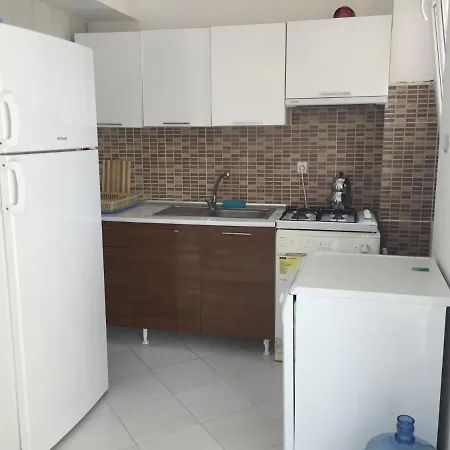 Ege Apart Apartment Didim