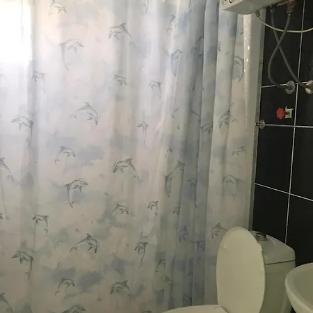Ege Apart Apartment Didim